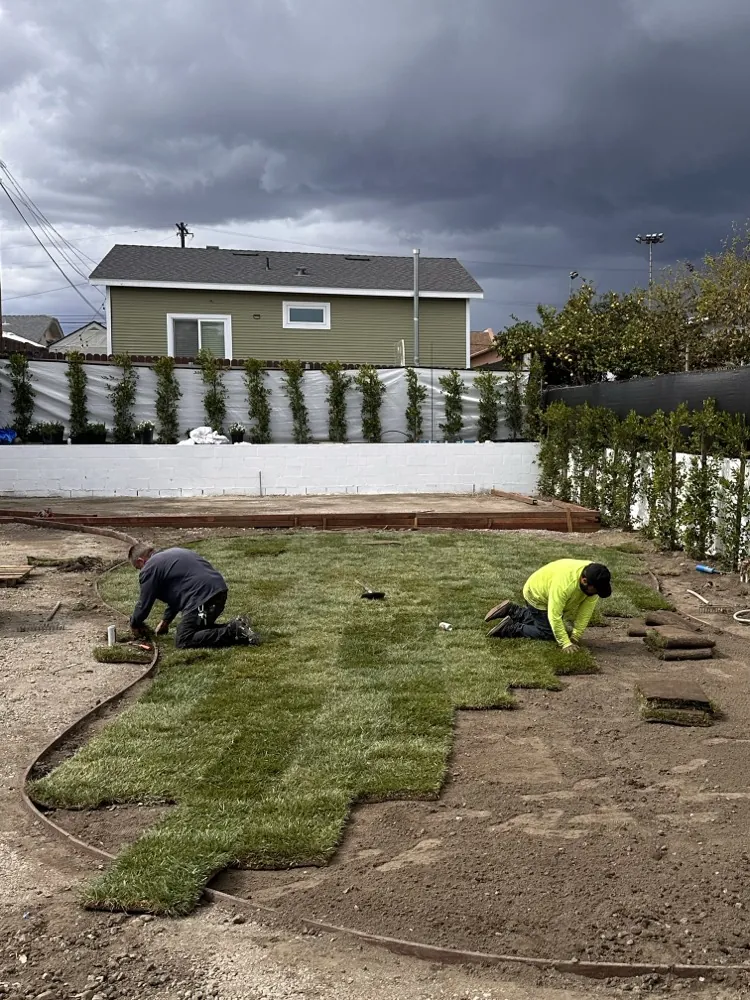 Crew laying fresh sod across the graded yard